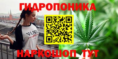 гашик Старая Купавна