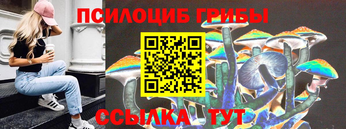 Галлюциногенные грибы Cubensis  Вход с VPN  цена   Нурлат 